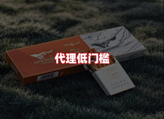 专业团队